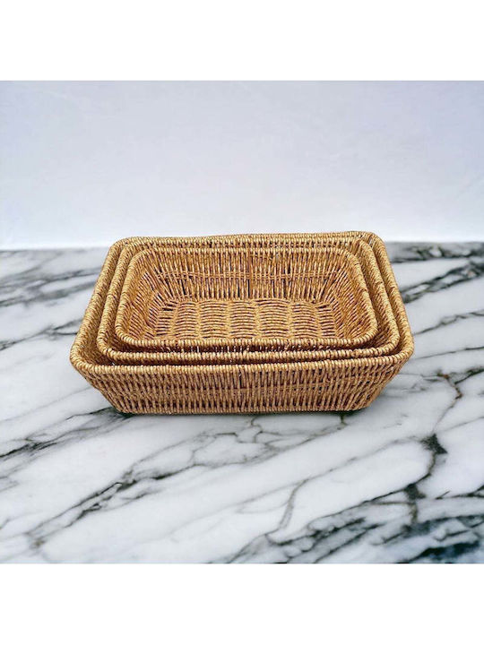 SteweHome Wicker Green Storage Basket 27x20cm