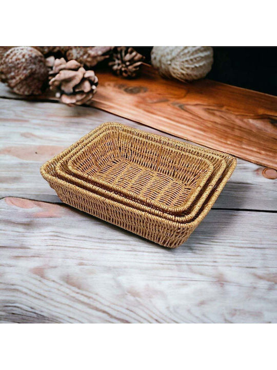 SteweHome Wicker Green Storage Basket 27x20cm