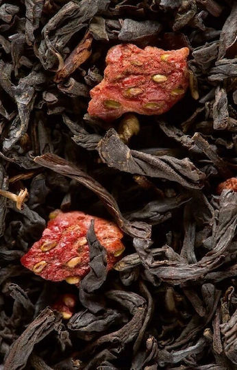 Dammann Black Tea 24 Bags