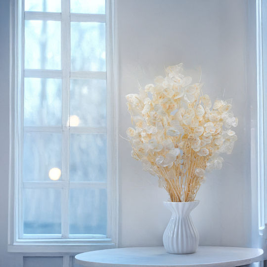 Monthly Dried Lunaria Bleached