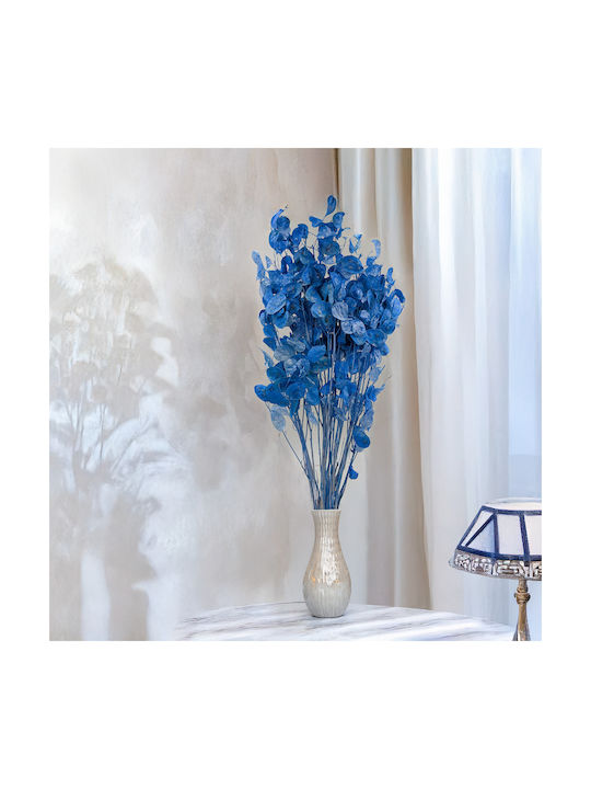 Lunaria Uscată Albastră Lunară Lunară