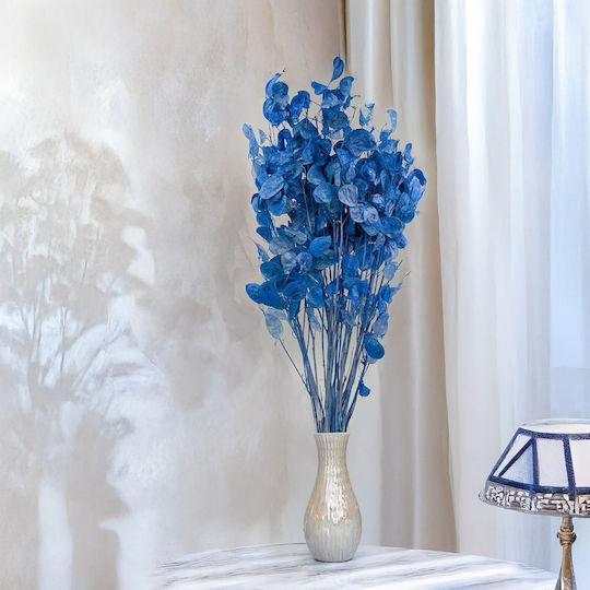 Monatliche Getrocknete Lunaria Blaue