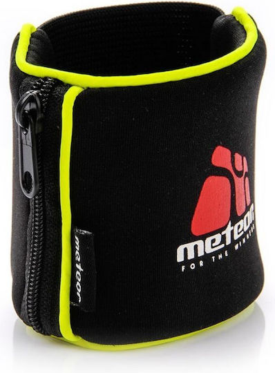 Meteor 23791