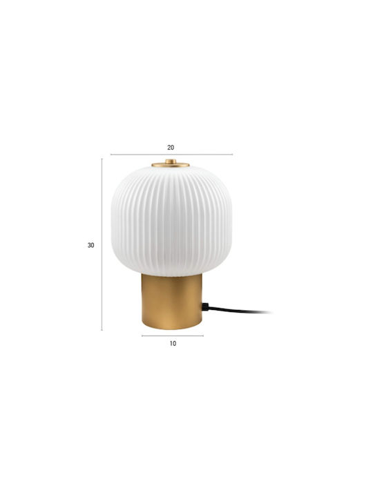 Luma Decorative Lighting LED Warm White 3000K