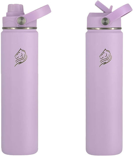 Cool'NMore Μπουκάλι Θερμός Ανοξείδωτο BPA Free 750ml Lavender με Καλαμάκι, Λαβή, Θηλιά και Επιστόμιο