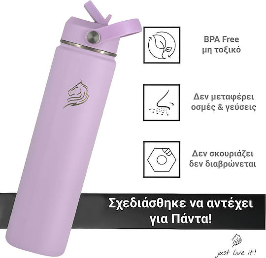 Cool'NMore Μπουκάλι Θερμός Ανοξείδωτο BPA Free 750ml Lavender με Καλαμάκι, Λαβή, Θηλιά και Επιστόμιο
