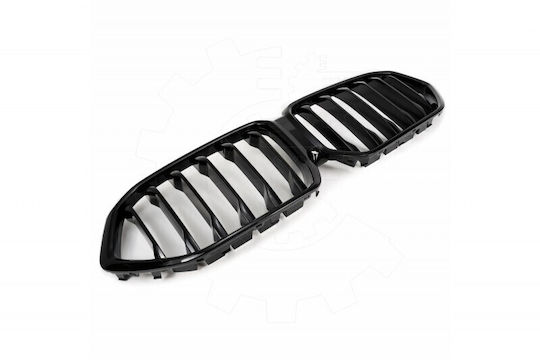 SKV Διακοσμητική Μάσκα Αυτοκινήτου BMW X6 (G06)