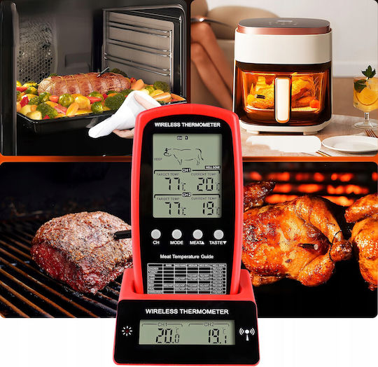 Ψηφιακό Θερμόμετρο Φούρνου με Ακίδα +50°C / +50°C