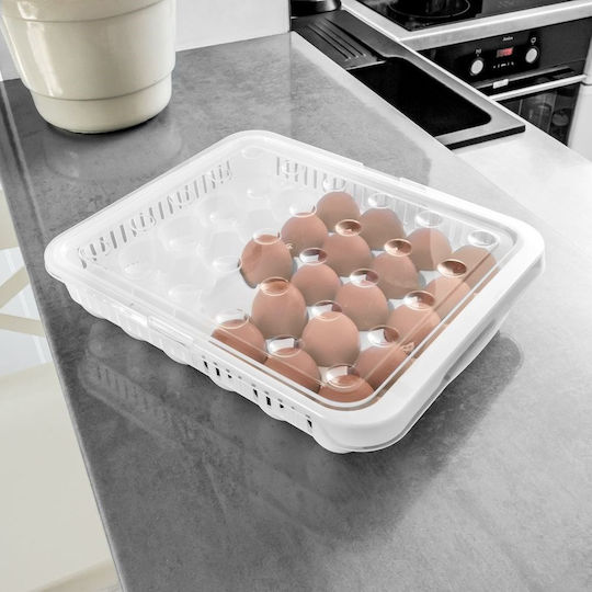 Orion Eierfächer Kühlschrank-Organisatoren für 30 Eier 33x27x7cm