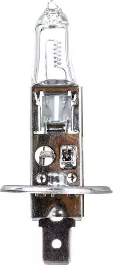 Neolux Lamps Car Standard H1 Halogen 3200K Warm White 24V 70W 1pcs