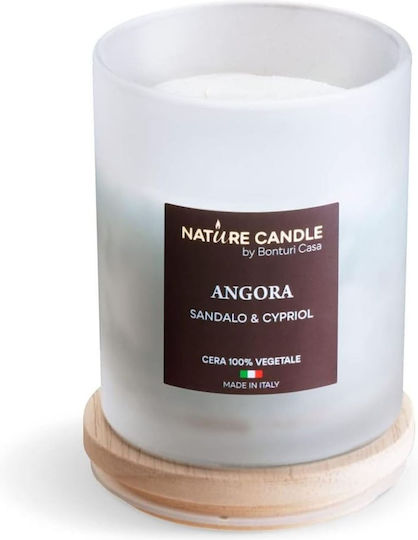 Candle Light Aromatic Candle in Jar