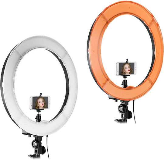 Ring Light