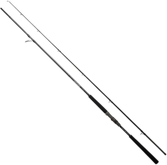 Slash Coast Thief Angelrute für Schweres Spinnfischen / Shore Jigging 2,81m 20-60g