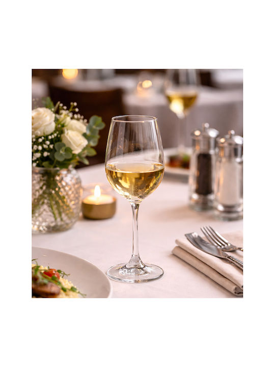 Bohemia Colibri Set Glasses for White Wine Crystal Goblet 350ml 6 Pieces