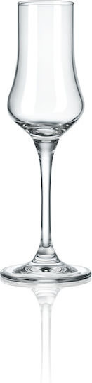 Rona Чаша за Ликьор Узо от Стъкло 100ml