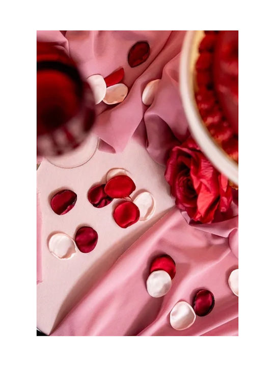 Partydeco Rote Rosenblätter 100 Stück Tasche