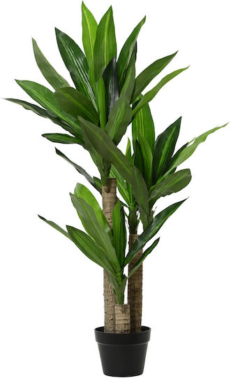 Kaemingk Outdoor Dracaena Kaemingk Outdoor Dracaena