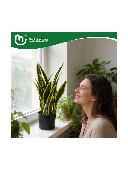 Medrelaxhome Plantă Decorativă Artificială Sansevieria H60cm