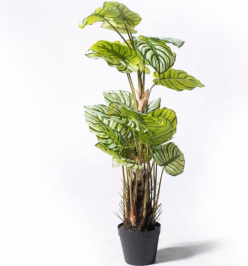 Καλαθέα σε Γλάστρα 90cm Supergreens