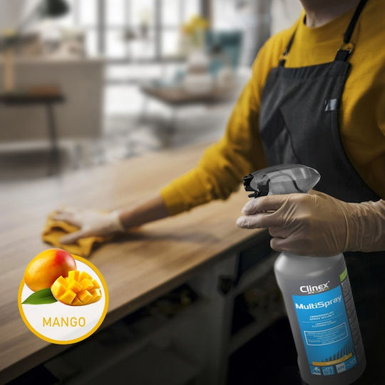 Clinex Cleaning Spray General Use 1lt