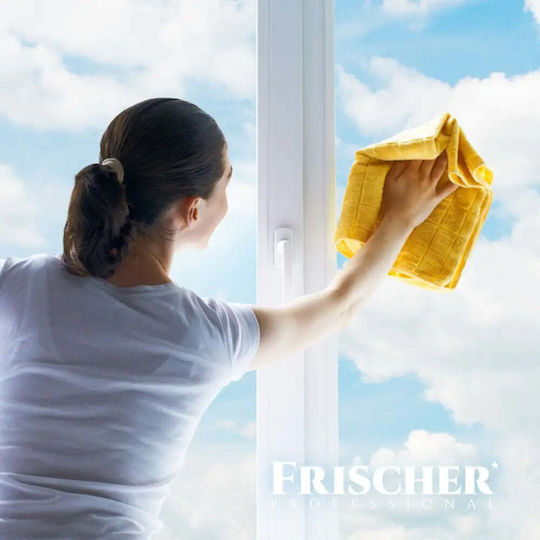 Frischer Καθαριστικό Spray Τζαμιών 500ml