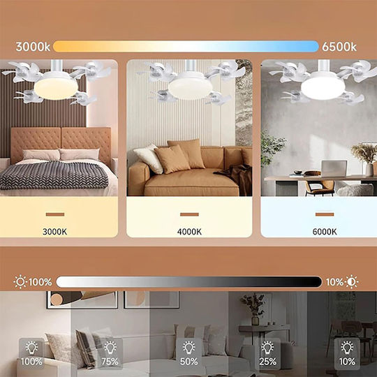 Ceiling Fan with White Light Fixture