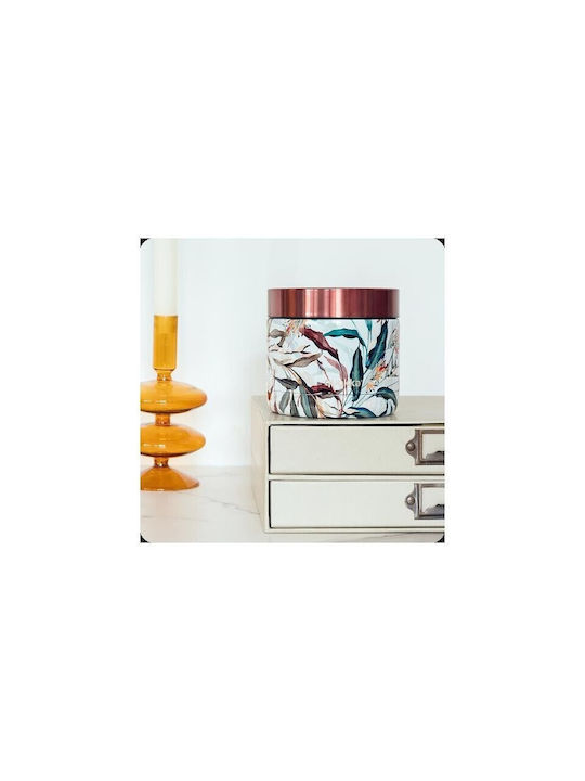 Quokka Whim Inox Mittagsboxen Isolierte Lunchbox Mehrfarbige 600ml