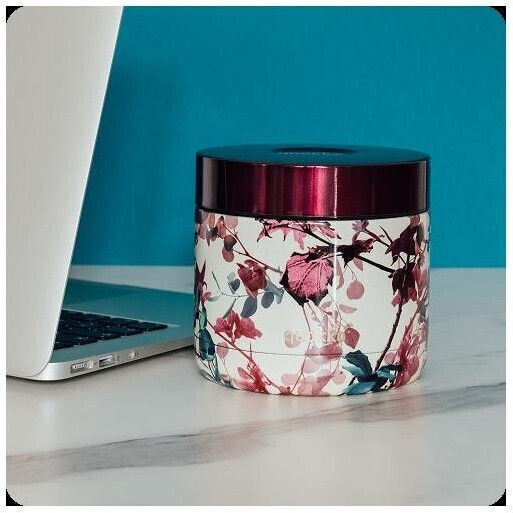 Quokka Whim Inox Mittagsboxen Isolierte Lunchbox 600ml