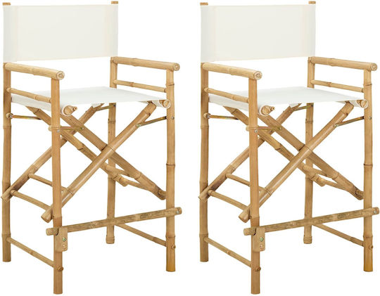 Wooden Director Chair Brown 2 Pieces