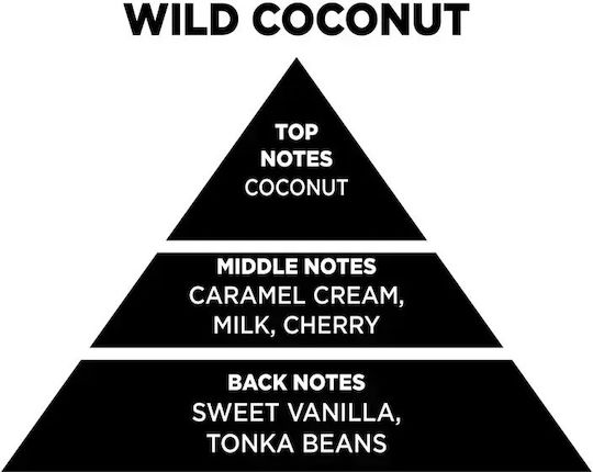 Ulei Aromatic Nucă De Cocos 100ml ANWC01