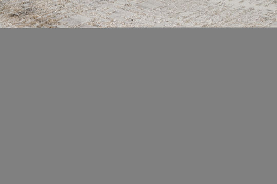 Tzikas Carpets 40001 Rug Rectangular Beige