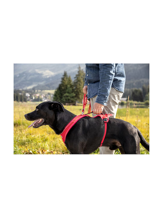 Кучешко Повод Curli Belka Comfort Harness M Кафяво