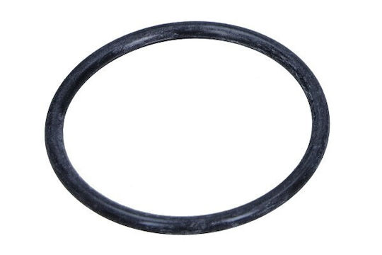 Αντλία Καυσίμου Αυτοκινήτου για Peugeot Boxer Citroen Jumper