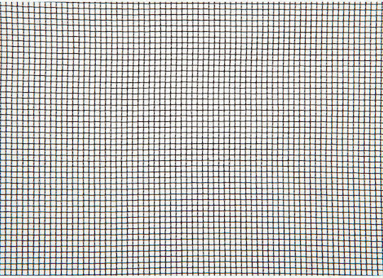 Windhager Moskitonetz Tür 180x150cm