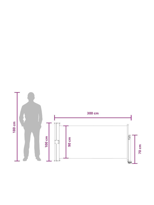 vidaXL Seitliche Markise Terrasse Grau 1x3m
