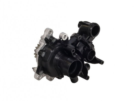 OE PSA Auto-Wasserpumpe Für Citroen Springend