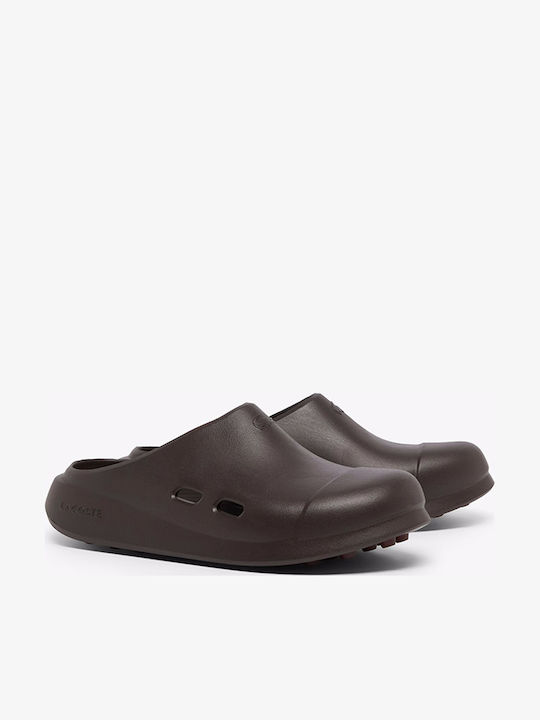 Lacoste Men's Brown Clogs