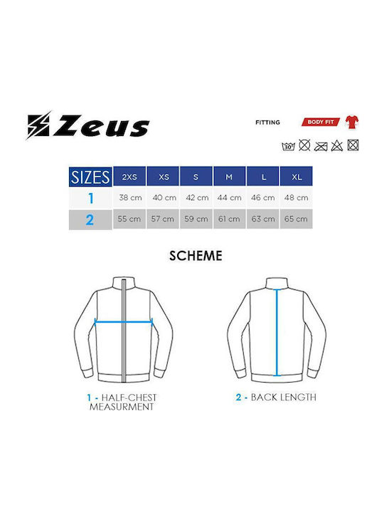 Zeus Zeus