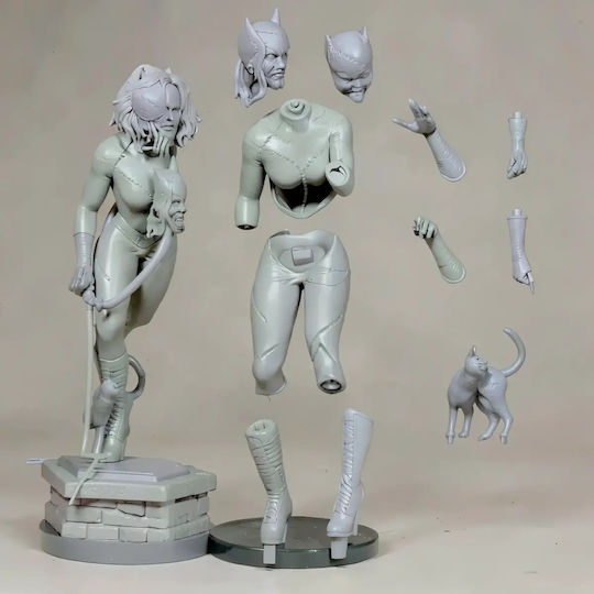 Unbemalte 3d Figur Catwoman V9 Aus Dc Bemalung Diy Geschenk Farben 20 Cm 1:8