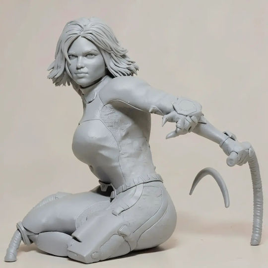 Unbemalte 3d Figur Catwoman V8 Aus Dc Bemalbar Diy Geschenk Farben 30 Cm 1:6