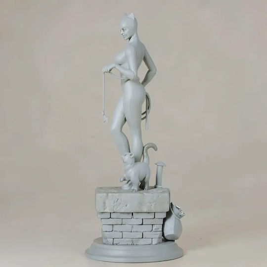 Unbemalte 3d Figur Catwoman V4 Aus Dc Bemalung Diy Geschenk Farben 30 Cm 1:6