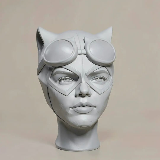 Unpainted 3D Sammelbare Figuren Catwoman Rope Aus Dc Bemalen Diy Geschenk Farben 20 Cm 1:8