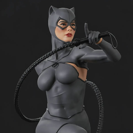 Unpainted 3d Figur Catwoman Rope Aus Dc Bemalung Diy Geschenk Farben 30 Cm 1:6