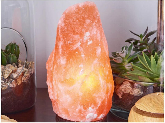 Himalayan Salt Stone Lamp E14 15 Watt 3–5 Kg Adjustable Lighting 21cm Aria Trade