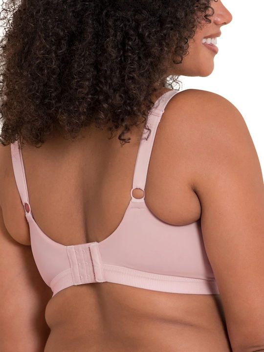 Curvy Kate Curvy Kate