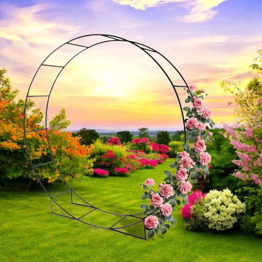 Garden Star Decorațiune pentru Grădină