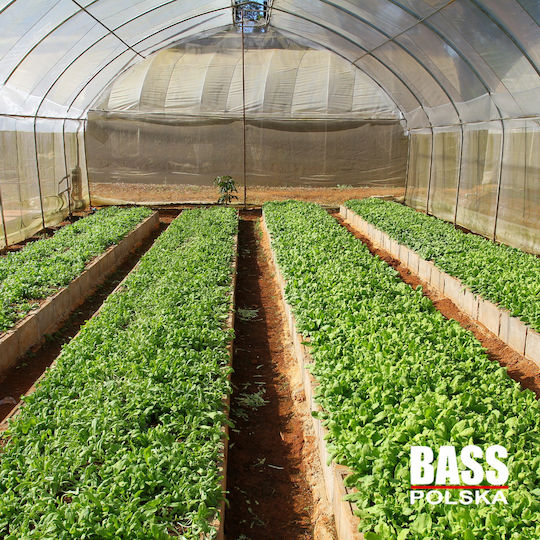 Bass Polska Θερμοκήπιο Τούνελ 3x2x2m