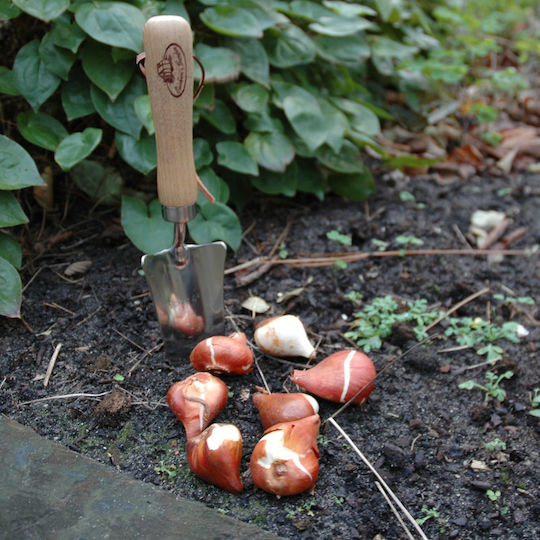 Garden Trowel Wooden Handle