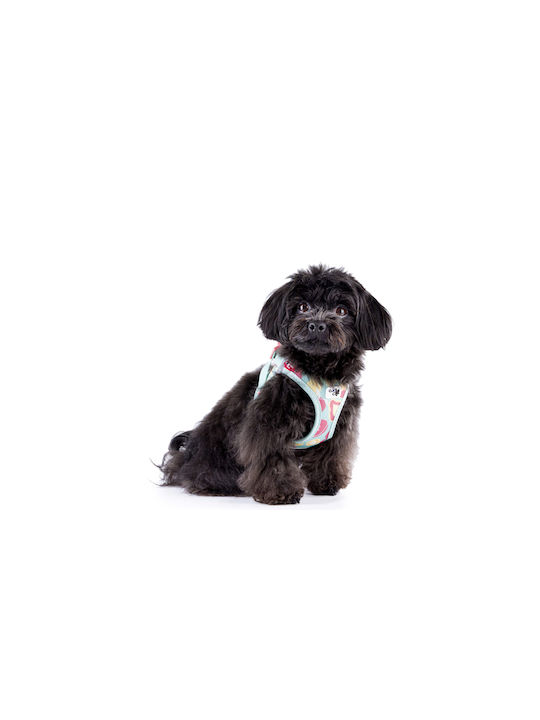 Hundegeschirr Curli Air Mesh Special Edition 2026 3xKlein Juicy Fruits Türkis