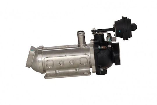 EGR Kühler Austausch Renault Trafic 01 8200953620
